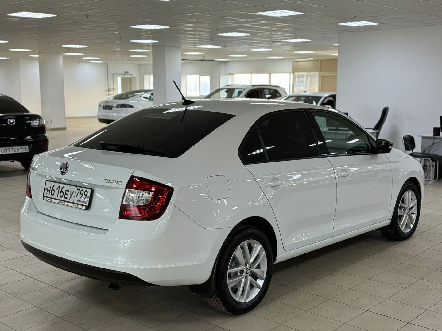 Skoda Rapid