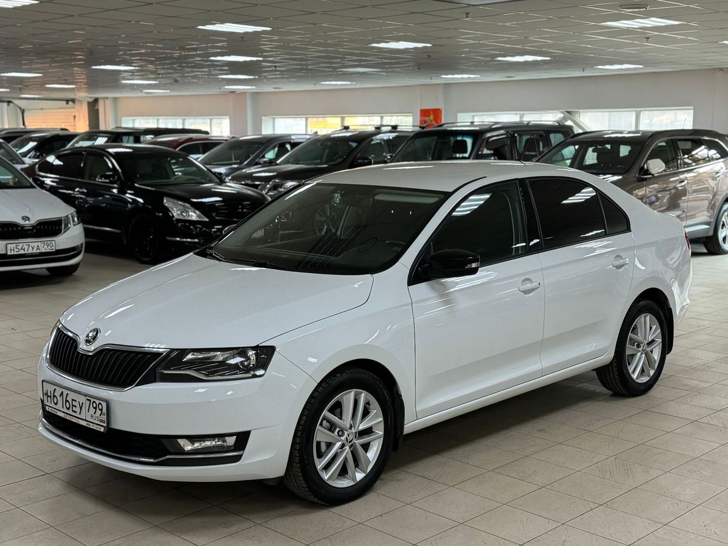 Skoda Rapid